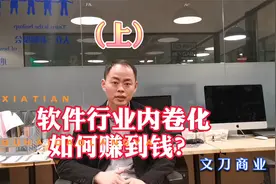 软件行业内卷化，老板如何做（上）视频封面