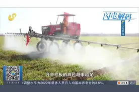 山东扛牢农业大省责任，推动乡村“五大振兴”，助力实现共同富裕视频封面