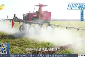 山东扛牢农业大省责任，推动乡村“五大振兴”，助力实现共同富裕视频封面
