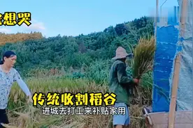 实拍四川达州农村：这种传统收割稻谷方式，多少人见过，真不容易视频封面