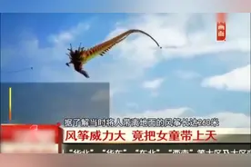 风筝节活动风筝威力大 竟把女童带上天在空中上下乱飞视频封面