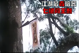 江湖最毒暗器七绝阎王刺，危害江湖，少女勇斗恶徒为江湖除害！视频封面