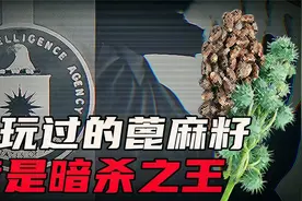 你小时候玩过的生化武器，蓖麻籽，暗杀之王视频封面