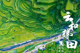 丽水云和梯田自驾，深度行程攻略（详细导航解说）