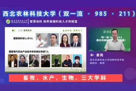 西北农林科技大学（双一流、985、211），动物科学院简介，姜雨视频封面