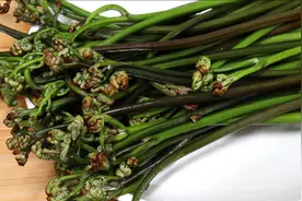 蕨菜最好吃的做法，加1种特色调味菜，出锅鲜嫩滑爽，下饭太香了视频封面