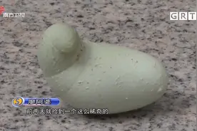 母鸡产下“怪蛋”，形状好似一只鸳鸯，村民直呼罕见|城事特搜视频封面