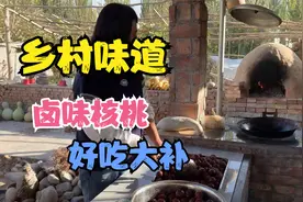 柴火灶卤核桃，冬天养精蓄锐。来年的好身体就靠它了。好吃还大补视频封面