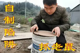 最成功的一次陷阱自制，用两个桶就能制作，这次肯定能抓到老鼠！