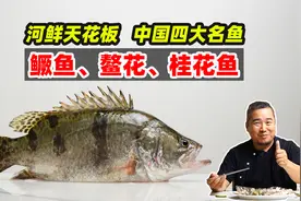 鳜鱼鳌花桂花鱼，中国四大名鱼，东方独有瑰宝，河鲜里的天花板视频封面