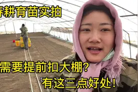 五常大米农民春耕育苗实拍，为啥需要提前扣大棚，有这三点好处！视频封面
