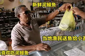 小五叫老司机去市场买“黄尾鱼”当地渔民就送一袋“泥鳗鱼”过来视频封面