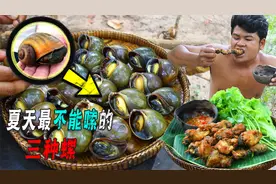 吃福寿螺流产，卖织纹螺违法！盘点不能嗦的螺蛳为啥钉螺也入选？