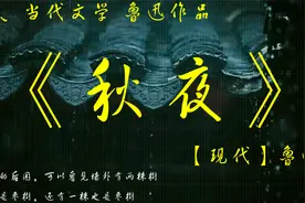 《秋夜》【现代】鲁迅视频封面