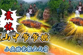 花2400块包下爷爷的小鱼小鱼塘，没想到里面竟然有这么多鱼