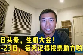 2022年今日头条生机大会，鞋底需要您的投票助力！视频封面
