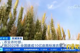农业农村部：到2022年全国建成10亿亩高标准农田|正点财经视频封面