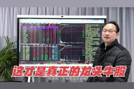 【市场大牛股】科技半导体+有色金属概念，这才是真正的龙头视频封面