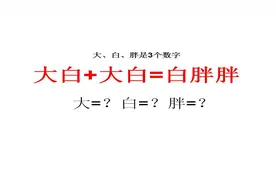 学生考我的题，大白+大白=白胖胖，大白胖各是几？