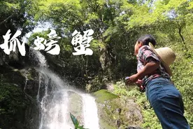 深山螃蟹啥味道？农村姑娘抓了15只尝尝，裹上鸡蛋油炸，太香了