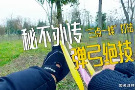 弹弓：详解三点一线打法，无论瞄打还是估打，都离不开这个原理视频封面