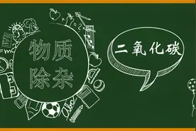 物质的除杂 二氧化碳