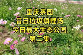 重庆茶园昔日的垃圾填埋场，今天已变成重庆最大的生态公园。视频封面
