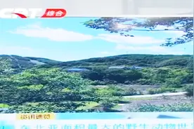 野生“动物世界”将落户长春莲花山，还有两“最”，你期待吗？视频封面