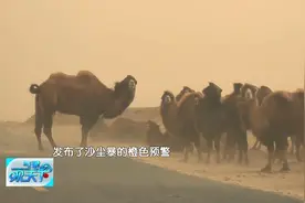 今年春季沙尘天为什么这么多？视频封面