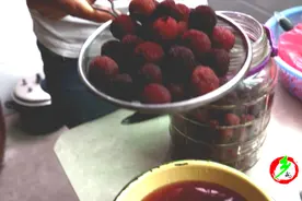 存了一年多的杨梅酒，打开里面一层白沫，还没喝吗视频封面