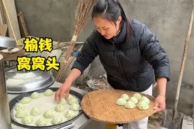 媳妇摘了可多榆钱，晚餐做榆钱窝窝头，配菜几个家常小菜，真丰盛视频封面
