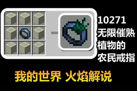 我的世界 火焰解说 10271 无限催熟植物的农民戒指