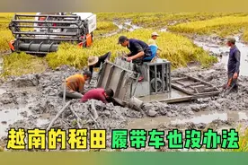 履带车越陷越深，这稻田里的淤泥比池塘还要深，劳动人民很着急视频封面