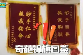 奇葩锦旗图鉴，你们真是一个敢送一个敢挂视频封面