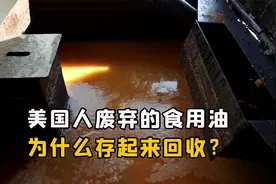 美国餐馆的废弃食用油，为什么存起来大量回收？他们有什么用处？视频封面