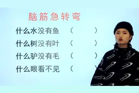 脑筋急转弯题：什么水没有鱼，什么树没有叶，什么驴没有毛？视频封面