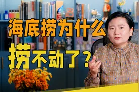海底捞为什么捞不动了：告诉你新加坡首富的财富密码视频封面