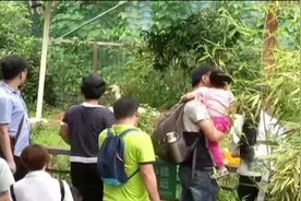 词立方：生三孩视频封面