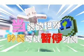 当我的世界可以暂停时间