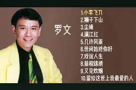 罗文十首经典金曲视频封面