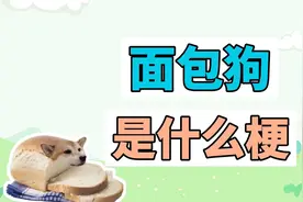 面包狗是什么梗？测试一下，你是不是捡来的视频封面
