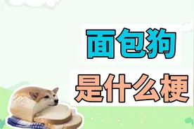 面包狗是什么梗？测试一下，你是不是捡来的视频封面