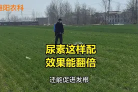 尿素这5个黄金配方，杀虫除草又增产，效果能翻倍