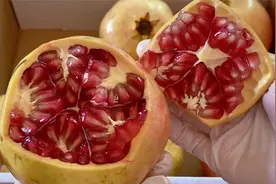 天干物燥huo点茶，石榴冷萃绿茶配上它，下午茶妥妥滴养颜又解渴