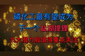 磷化工有望成为下一个盐湖提锂，九大高成长龙头公司！视频封面
