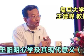 复旦大学王德峰教授-王阳明心学及其现代意义（上）视频封面