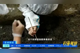 四川三星堆遗址考古：8号坑发现与祭祀建筑相关遗存|正点财经视频封面