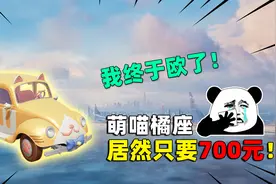 可爱的Anna：我终于欧了！萌喵橘座700元拿下，光子这波血亏！