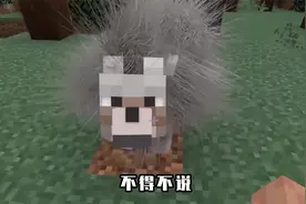 十分真实的MC？给狗吃骨头，狗会褪掉杂毛，长出新毛.视频封面