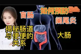 医学探秘 盲肠 直肠 结肠 阑尾炎 便秘到底是怎么形成如何分布 ？